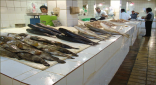 المطالبة بإلغاء سوق السمك بالمباركية