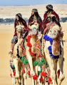 مهرجان سفاري بقيق يختتم 100 فعالية من تراث الصحراء