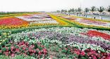 انطلاق مهرجان الزهور والحدائق الثامن في ينبع الصناعية غداً