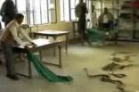 هندي يضع مجموعة الأفاعي السامة في مكتب حكومي إحتاجاجا لسوء المعاملة