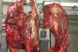 بلدية الخرج تصادر نصف طن من اللحوم الفاسدة