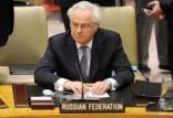 المبعوث الروسي لدى الأمم المتحدة يطالب بفتح تحقيق شامل في تغيير النظام بكييف