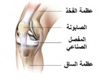 عودة الطلاب الى قاعاتهم الدراسية بجامعة الدمام يوم امس  د.الفهيد : التسجيل تم بوقت قياسي للفصل الثاني .. والفصل القادم عبر تطبيقات الهواتف الذكية