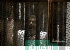 جنايات القاهرة تستأنف محاكمة  محمد مرسى وقيادات الإخوان في قضية اقتحام السجون